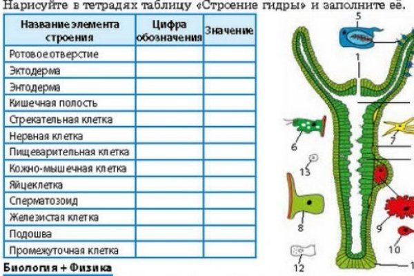 Kraken маркетплейс официальный