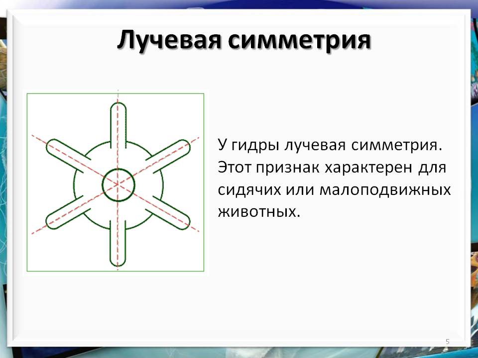 Кракен сайт krk market com