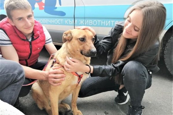 Сайт кракен зайти