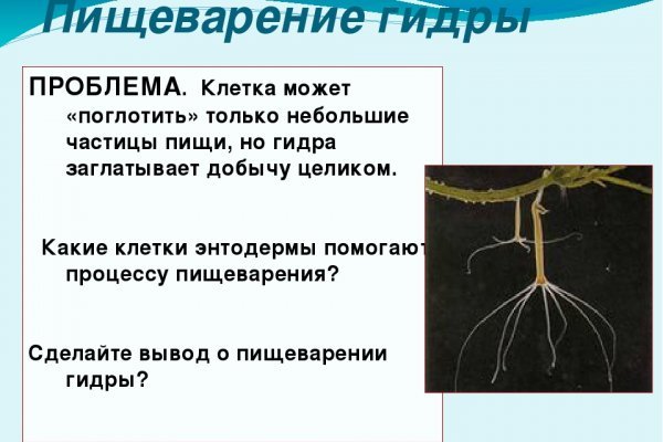 Пользователь не найден кракен даркнет