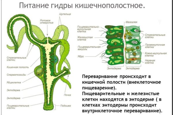 Кракен интернет площадка