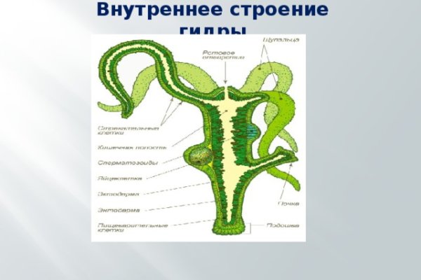 Кракен это современный даркнет маркет плейс