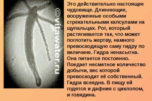 Кракен маркет даркнет только через