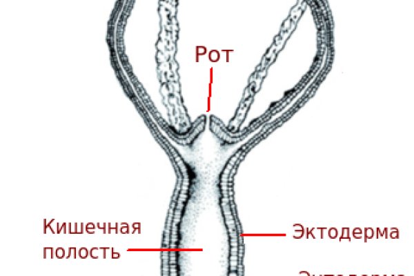 Кракен сайт at
